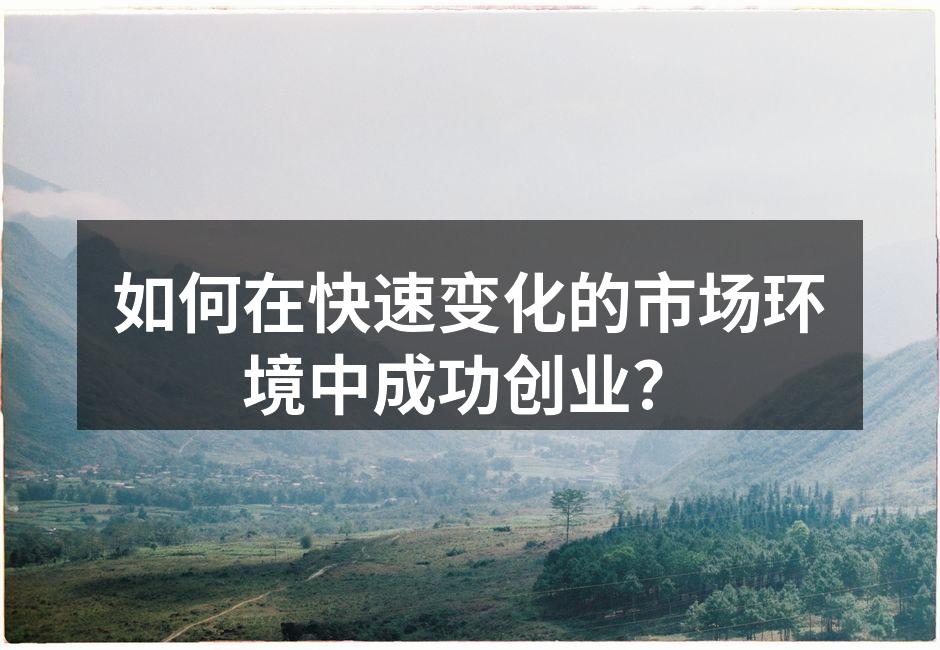 如何在快速变化的市场环境中成功创业？